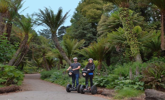 tour of golden gate park