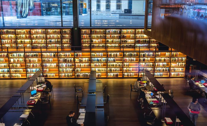 Reina Sofia Library