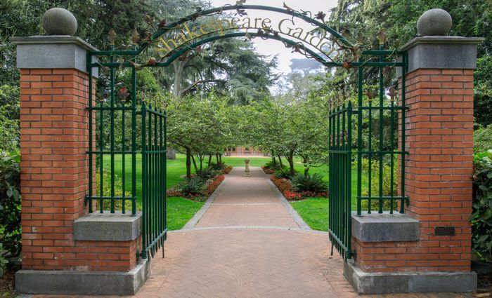 top things to do in golden gate park