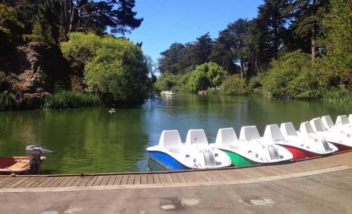 things to do in golden gate park