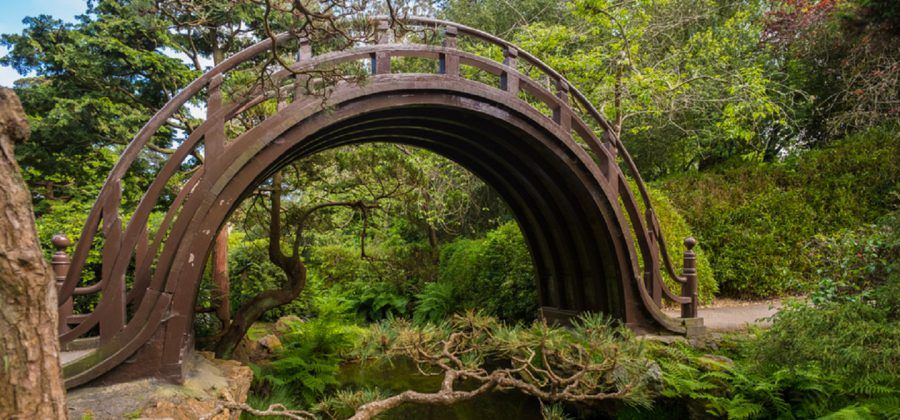 Wooden arch over a river in Golden State Park.