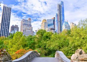 amazing cool facts about central park nyc