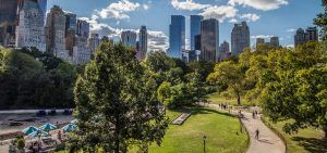 Top 12 Restaurants Near Central Park to Try in 2025