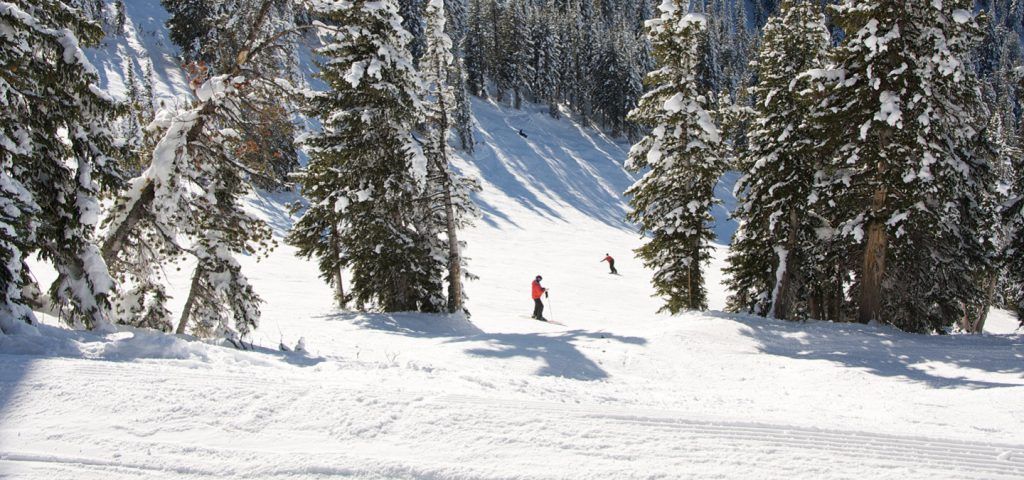 People skiing and Snowboarding down a snow covered mountain.