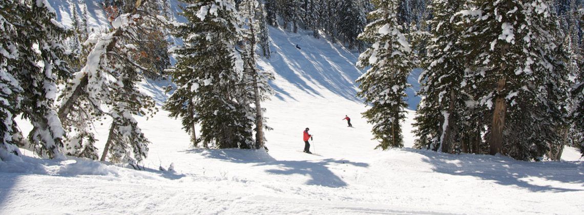 People skiing and Snowboarding down a snow covered mountain.