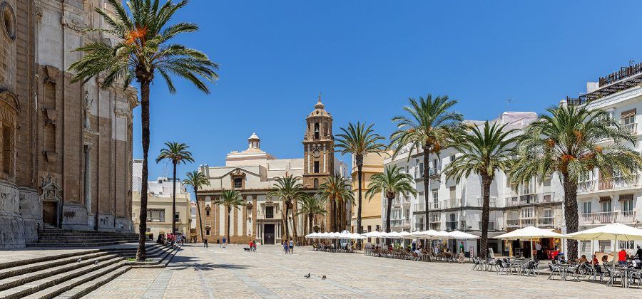 Courtyard with palm trees in Andalusia.