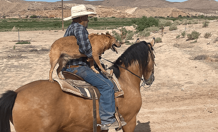horseback riding tour in vegas