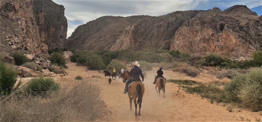 People riding horses through the desert.
