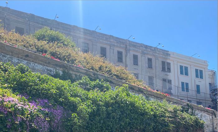 Alcatraz  - why book a san francisco day tour