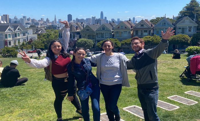 The Painted Ladies  - why book a san francisco day tour