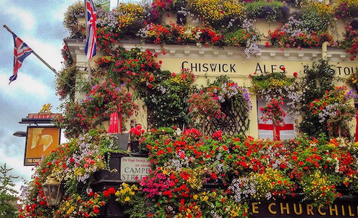 The flowers of the exterior of The Churchill Arms. 