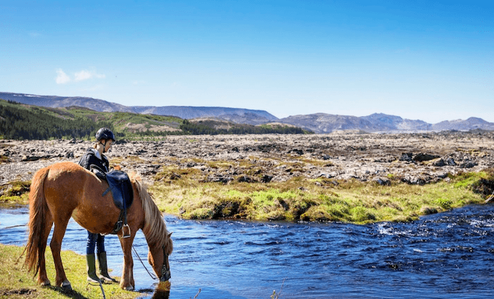 tours iceland in summer