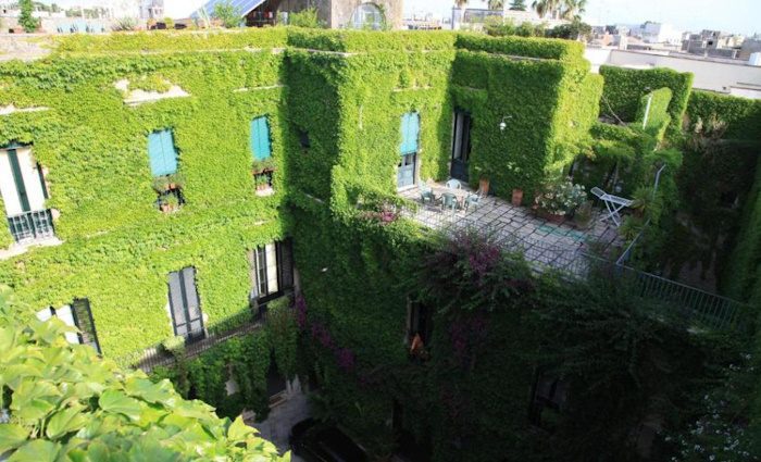 a view of the interior courtyard of the hotel covered in greenery 