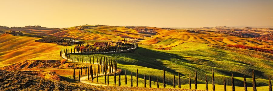 A winding cypress lined road in Val D'Orcia, Tuscany