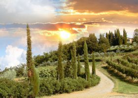 The Best Vineyards in Chianti, Tuscany, with Accommodation in 2023