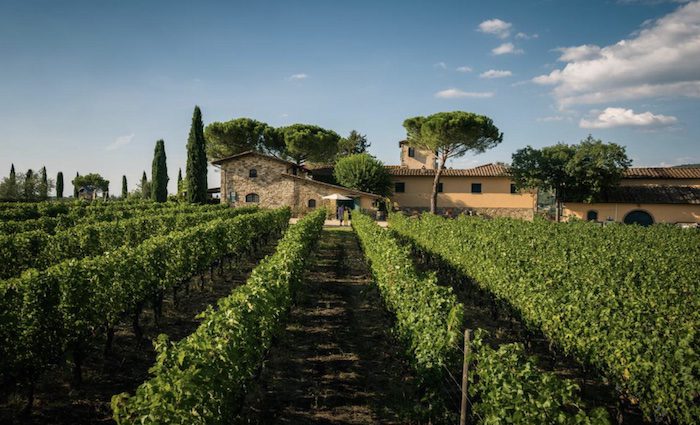 Vineyard and exterior of Viticcio farm stay in Greve, Chianti, Tuscany
