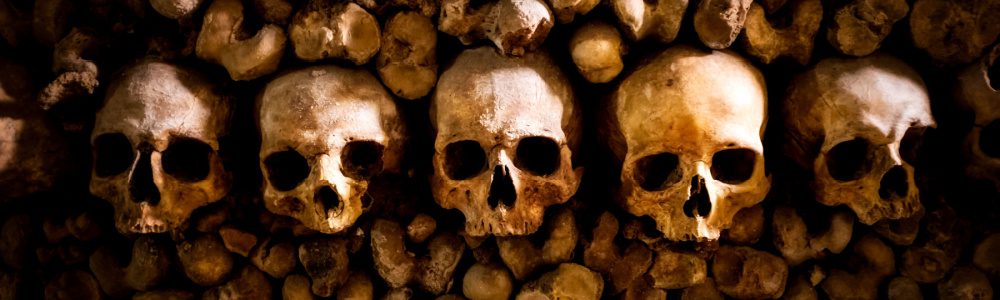 five of the six million skulls visable in the Paris Catacombs