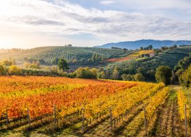 Rolling hills of Tuscany