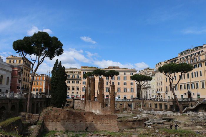 Largo di Toree Argentina