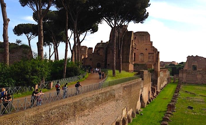 the roman guy colosseum tour