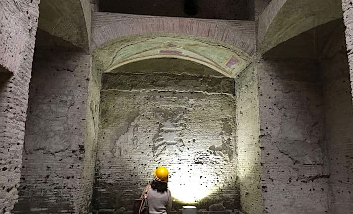 the roman guy domus aurea