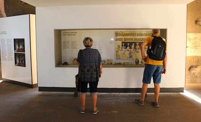 the roman guy colosseum tour