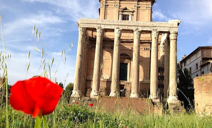 the roman guy colosseum tour