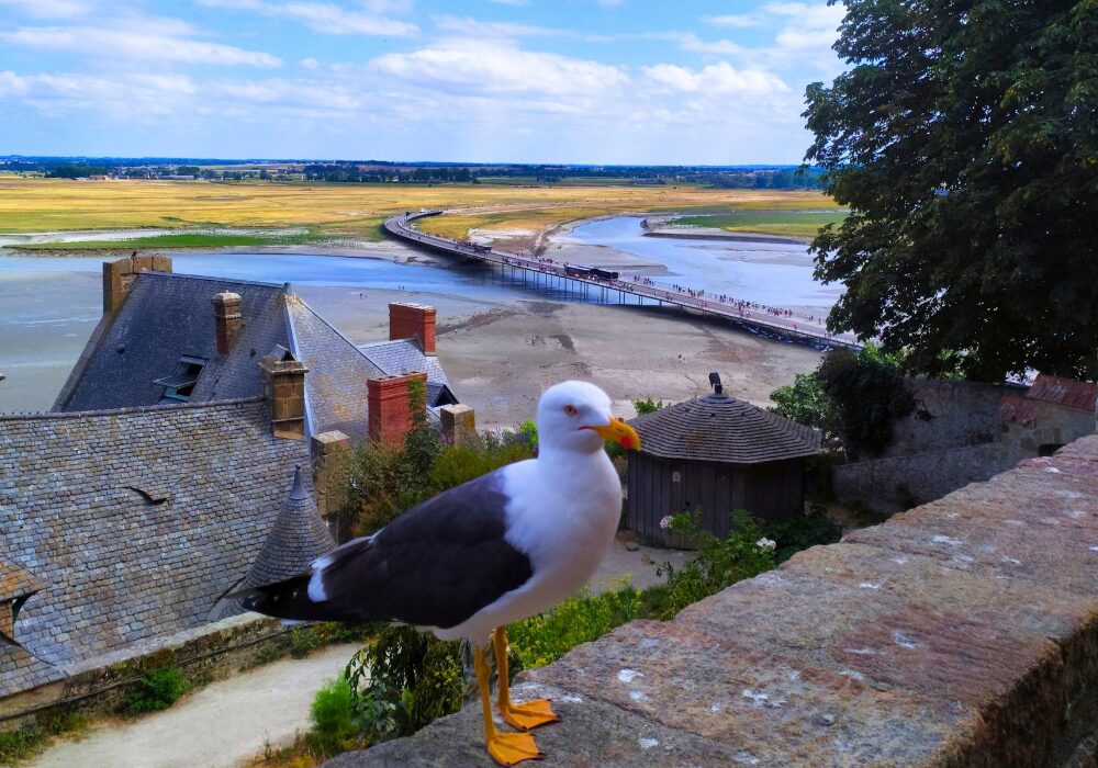 View from Mont Saint-Michel
